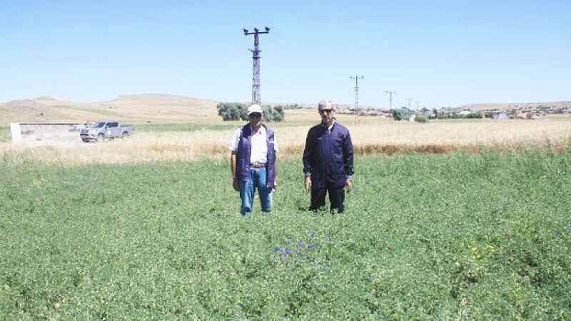Yozgat il tarım müdürlüğü açıkladı: Yozgat'ta tarımda yeni gelişmeler... 1