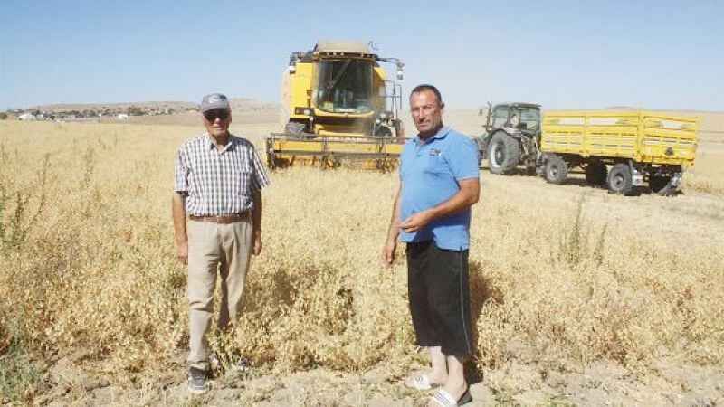 Yozgat il tarım müdürlüğü açıkladı: Yozgat'ta tarımda yeni gelişmeler... 5
