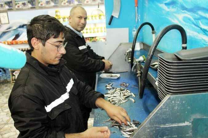 Karadeniz’den çıkan balığın üstü kurumadan o ilimizde tezgahlara zıplıyor! Denizi, gemileri yok ama Türkiye'nin en taze balıkları burada 8