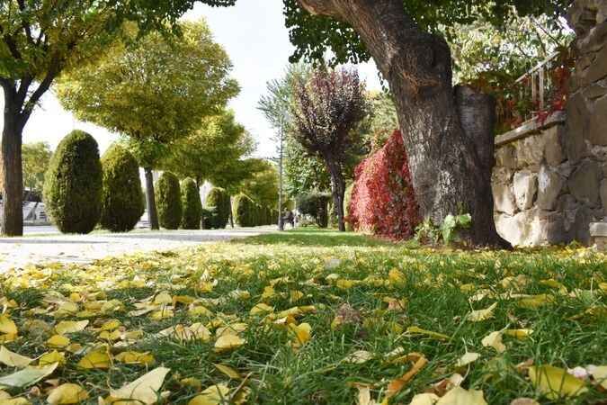Yozgat'ta Sonbaharın Etkileyici Güzelliği Göz Kamaştırıyor! 4