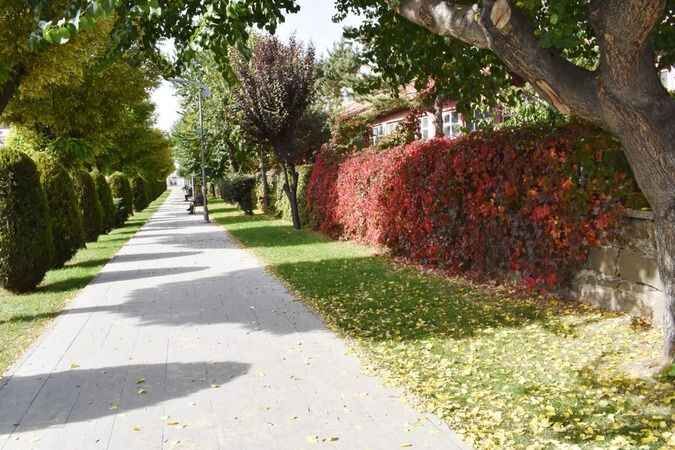 Yozgat'ta Sonbaharın Etkileyici Güzelliği Göz Kamaştırıyor! 5
