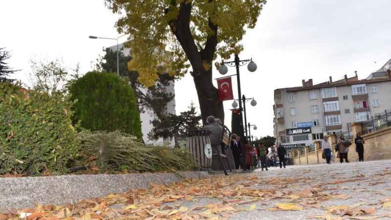Yozgat'ta Sonbaharın Eşsiz Renk Dansı 11