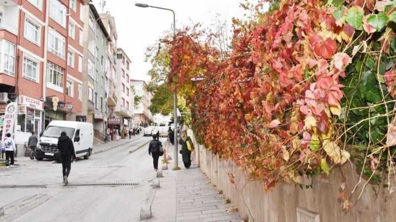 Yozgat'ta Sonbaharın Eşsiz Renk Dansı 13