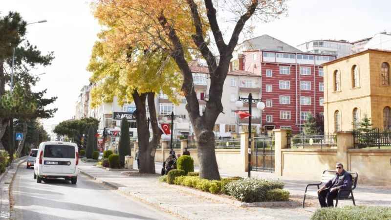 Yozgat'ta Sonbaharın Eşsiz Renk Dansı 3