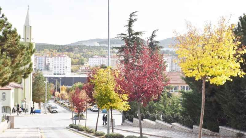 Yozgat'ta Sonbaharın Eşsiz Renk Dansı 4