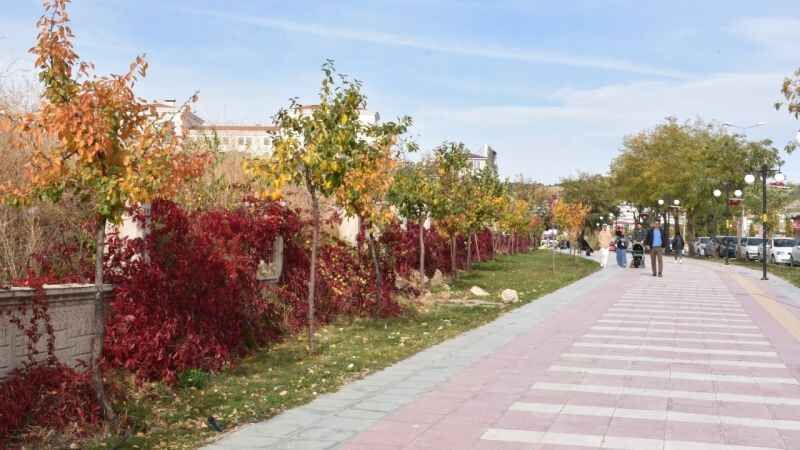 Yozgat'ta Sonbaharın Eşsiz Renk Dansı 5