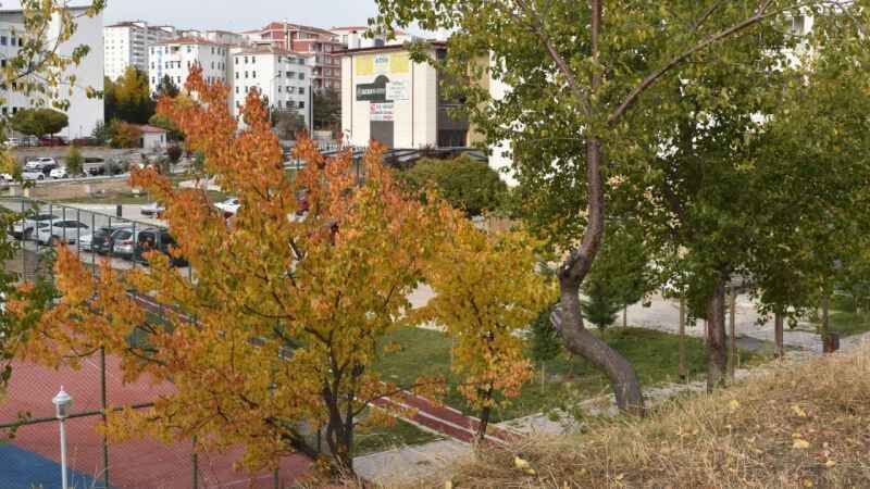 Yozgat'ta Sonbaharın Eşsiz Renk Dansı 6