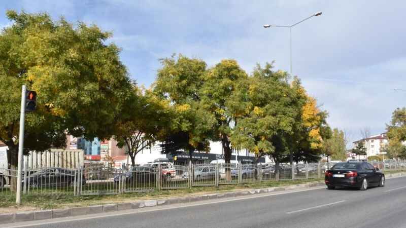 Yozgat'ta Sonbaharın Eşsiz Renk Dansı 7