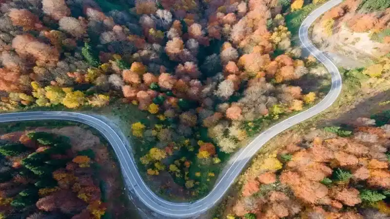 Sonbaharda Bir Başka Güzel Çam Dağı 7
