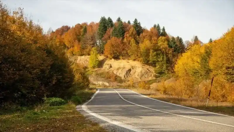 Sonbaharda Bir Başka Güzel Çam Dağı 2