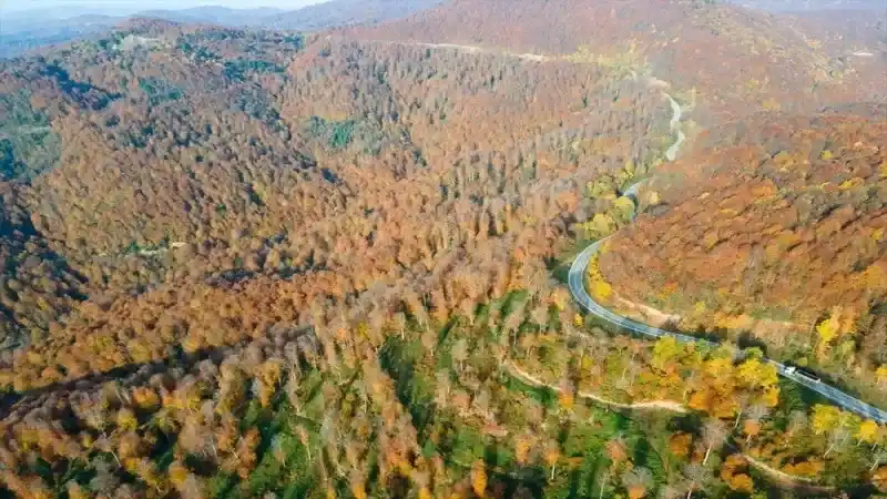 Sonbaharda Bir Başka Güzel Çam Dağı 3