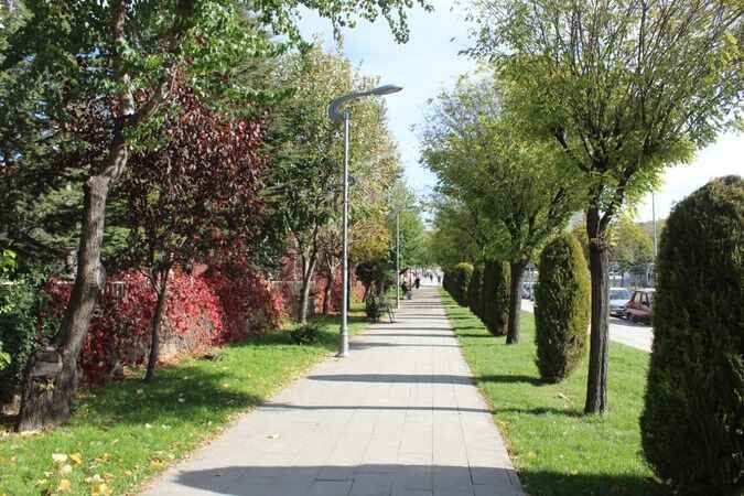 Yozgat'ta Sonbahar Güzelliği 10