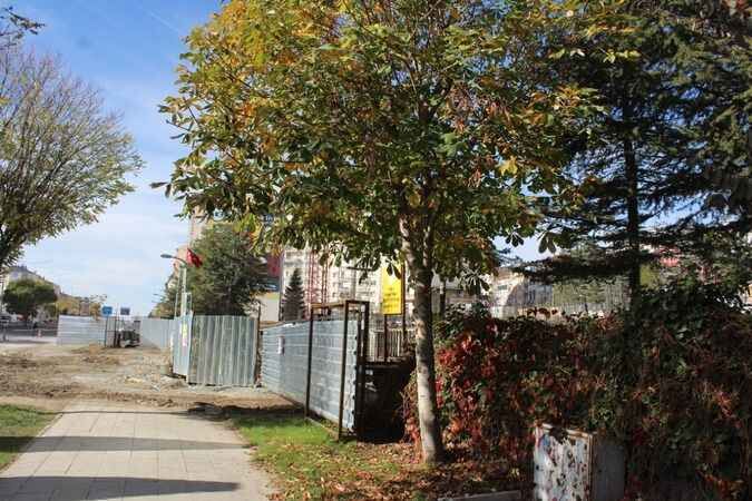 Yozgat'ta Sonbahar Güzelliği 12
