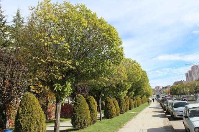 Yozgat'ta Sonbahar Güzelliği 15