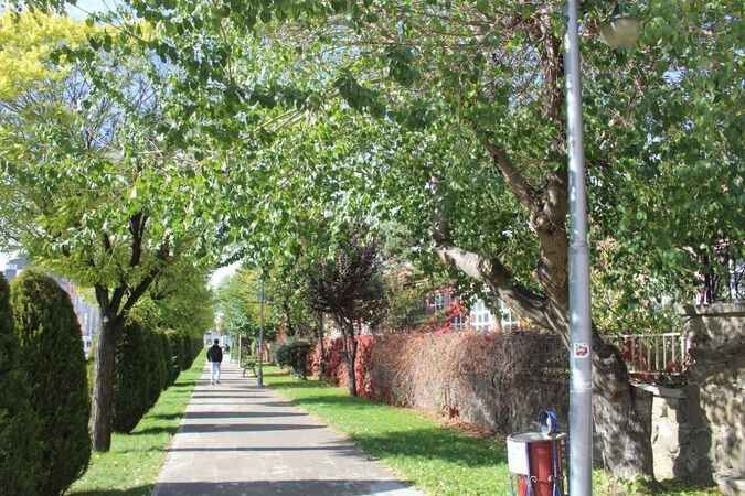Yozgat'ta Sonbahar Güzelliği 18