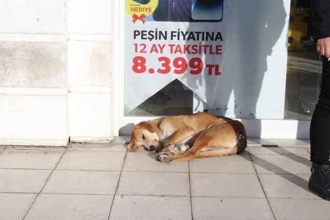 Yozgat'ta Kartpostallık Görüntüler 38