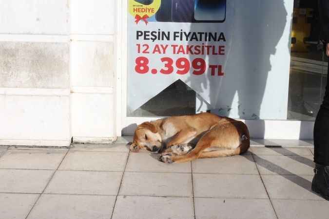 Yozgat'ta Kartpostallık Görüntüler 39