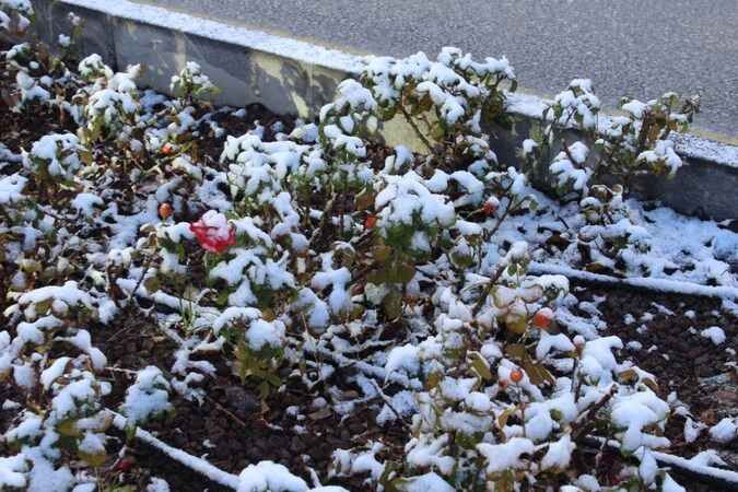 Yozgat'ta Kartpostallık Görüntüler 51