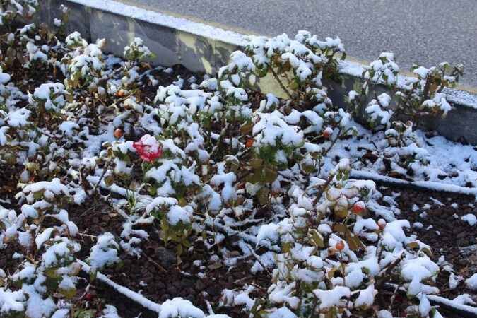 Yozgat'ta Kartpostallık Görüntüler 52