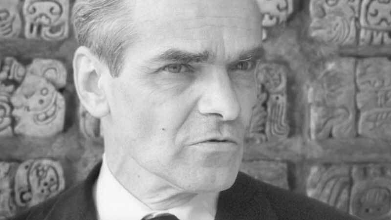 Yuri Knorozov: Kedisi Asya Sayesinde Maya Yazısının Sırlarını Çözen Dil Bilim Ustası 4