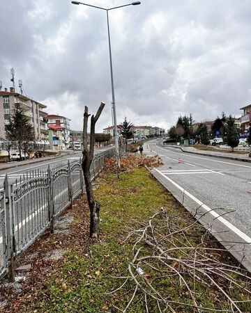 Yozgat Belediye Başkanı Celal Köse: "Daha Güzel, Daha Temiz Yozgat İçin Çalışıyoruz" 4