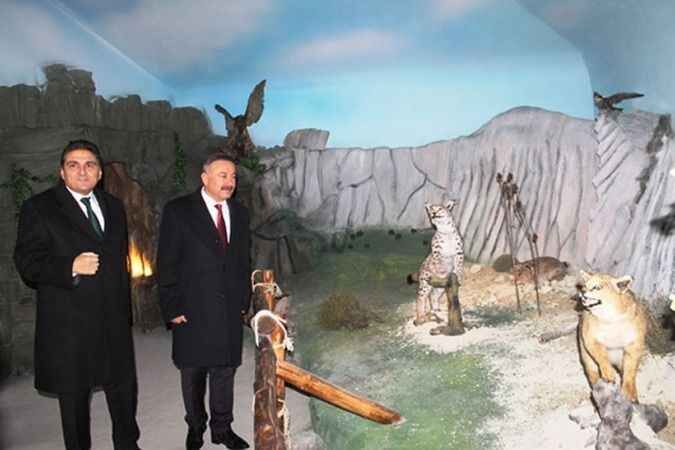 Ankara'da Bu Müzede Vahşi Yaşamı İliklerinize Kadar Hissedeceksiniz 11