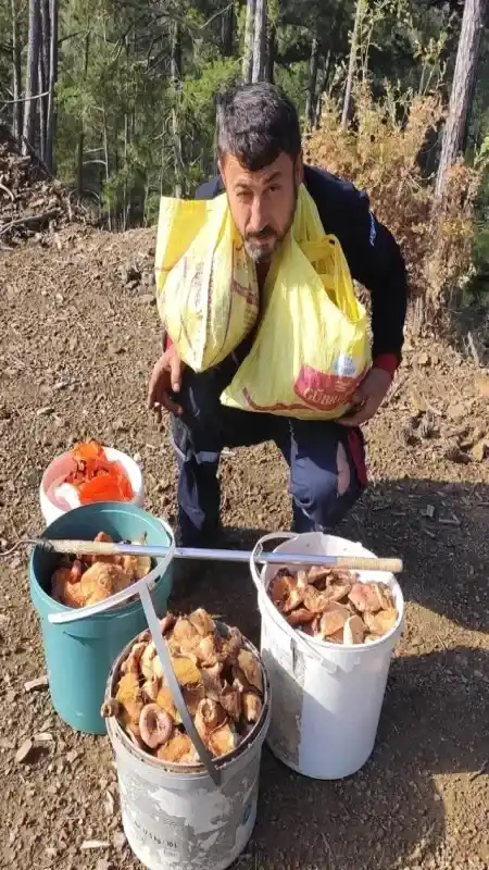 Çiftçi Halit Kaya Günde 4,5 Saat Çalışarak Ayda 150 Bin TL Kazanıyor, Peki Nasıl? 4