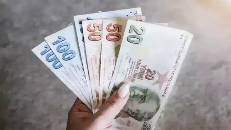 Acil Nakit Problemlerinize Devlet Destekli Faizsiz Kredi ile Çözüm: 150 Bin Lira Anında Cepte 2