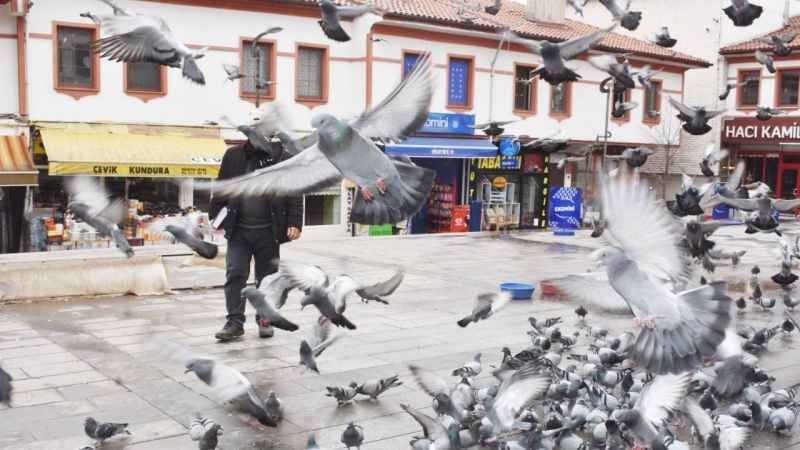 Bozok Yaylası’nın Uçmayan Kuşları! 9