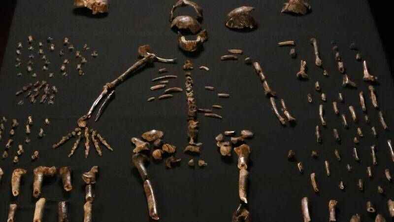 Orada 3 metre boyunda insan iskeletleri ortaya çıktı 1