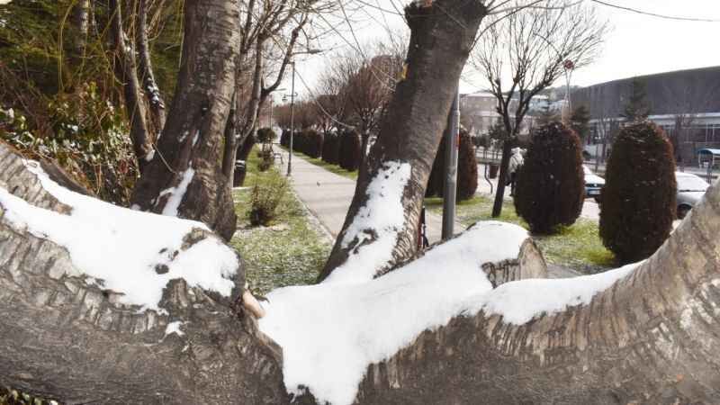 Soğuğun Pençesindeki Yozgat: Beyazlar İçinde Ayrı Bir Güzel! 1