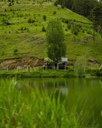 Burası Karadeniz'de değil: Bakın bu güzel mekan nerede! 4