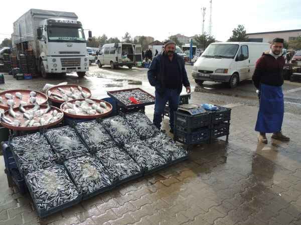 Çayıralan'ın güzellikle ve insanları 26