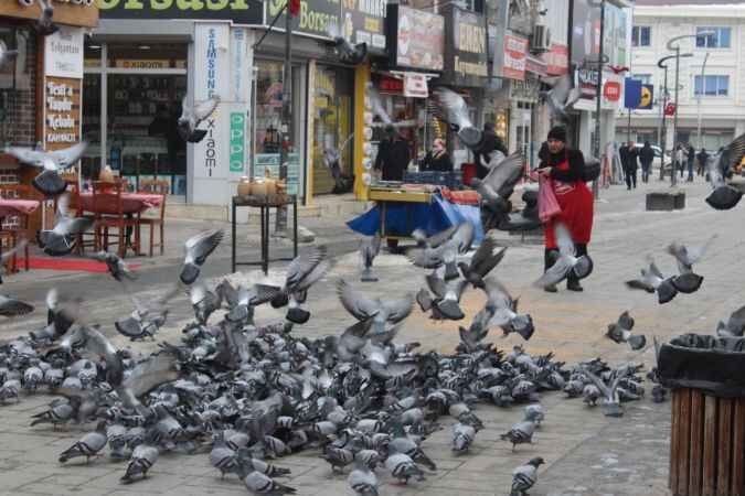 Yozgat'ta kuşlar neden uçmaz? 1