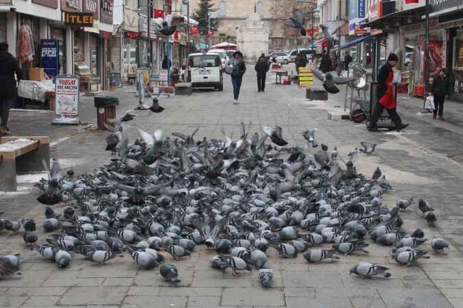 Yozgat'ta kuşlar neden uçmaz? 10