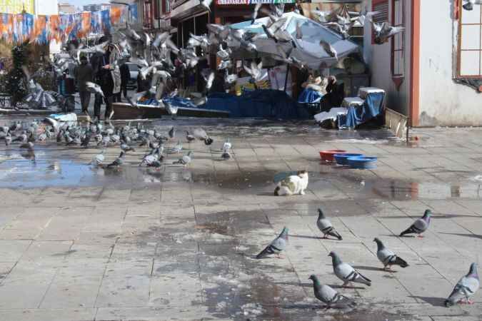 Yozgat'ta kuşlar neden uçmaz? 13