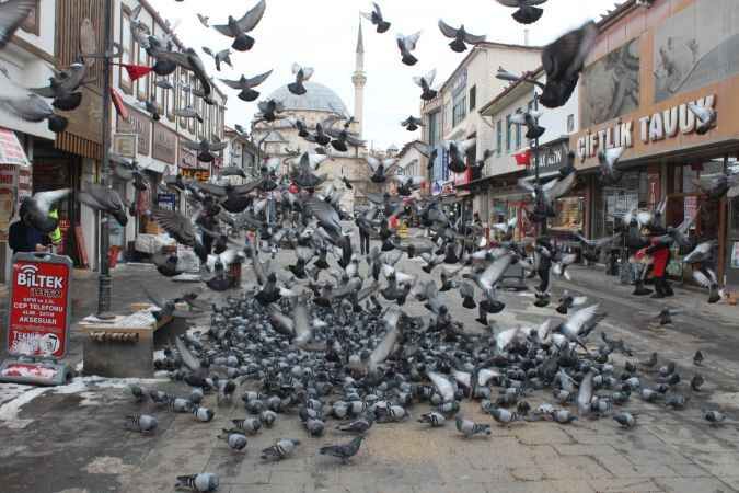 Yozgat'ta kuşlar neden uçmaz? 2