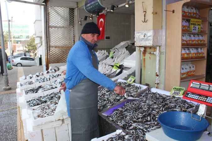 Anadolu'nun Balık Sofraları Tehlike Altında: Sıcak Hava Hamsiyi Vurdu! 15