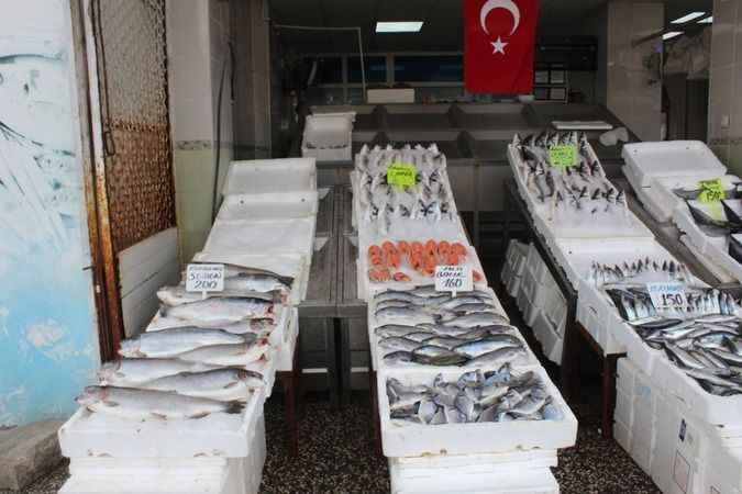 Anadolu'nun Balık Sofraları Tehlike Altında: Sıcak Hava Hamsiyi Vurdu! 3