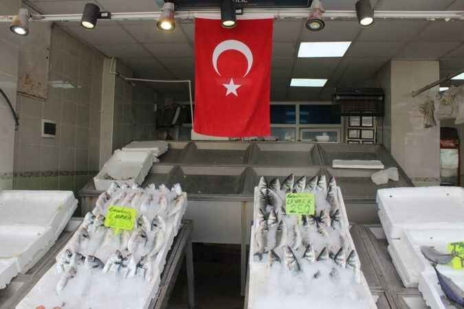 Anadolu'nun Balık Sofraları Tehlike Altında: Sıcak Hava Hamsiyi Vurdu! 8