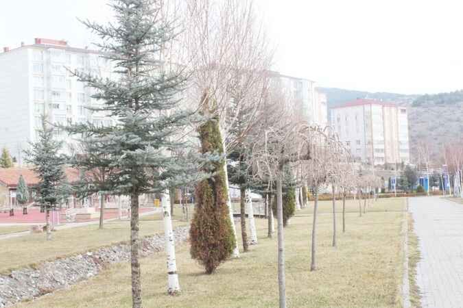 Yozgat’ta Mart Kapıdan MI Baktıracak? 5