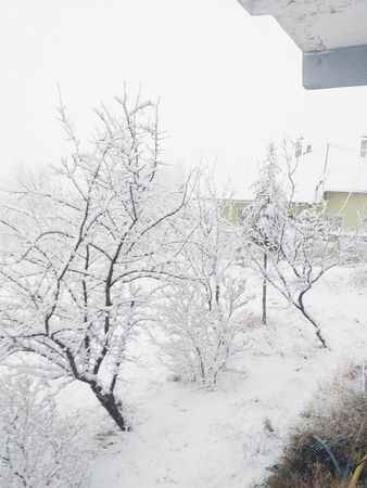 Yozgat'ta Kar Sevinci! 4