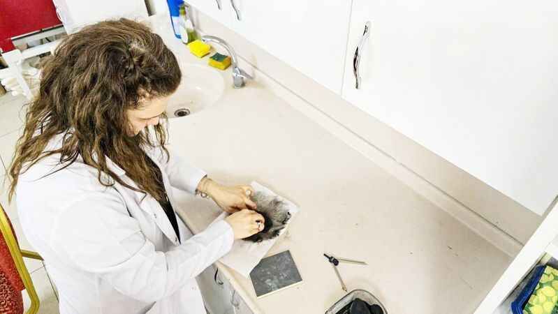 Kadınların Güçlü Dokunuşları İle 700 Yıllık Gelenek Çiniyle Buluşuyor! 3