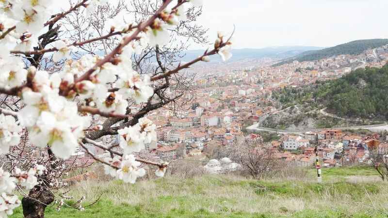 Baharın Habercisi Badem Çiçekleri Açtı: Görenler Büyülendi! 7