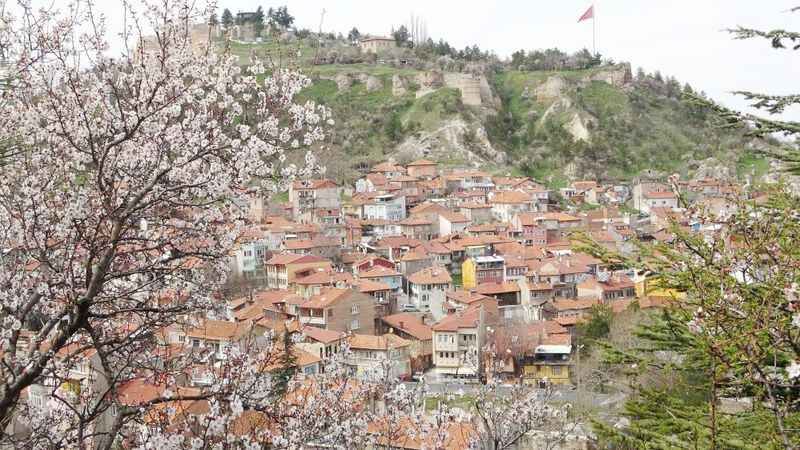 Baharın Habercisi Badem Çiçekleri Açtı: Görenler Büyülendi! 3
