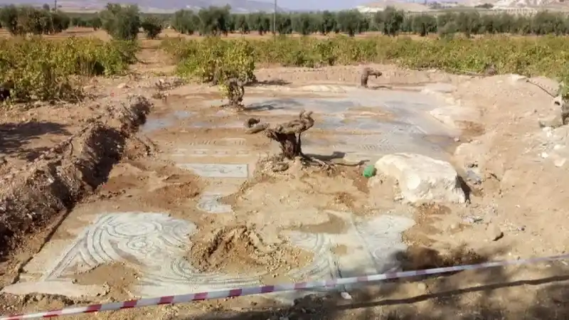 Çiftçi Traktörüyle Tarla Sürerken Pulluğuna Takıldı! 5000 Yıllık Tarih Fışkırdı, Yetkililer Devreye Girdi 7