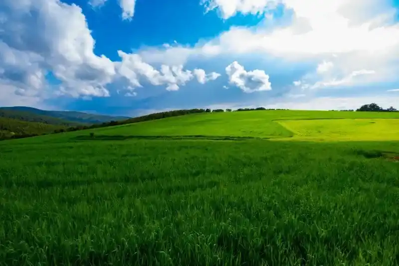 Akdağmadeni Baharın Gelişiyle Yeşile Büründü 6