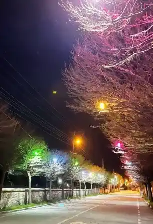 Belekcehan’ın Gece Güzelliği! 4