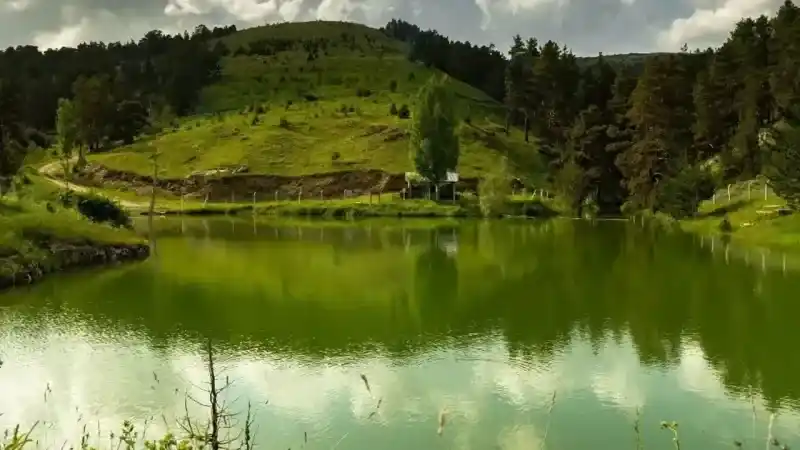 Yozgat'ın Doğal Hazinesi: Ebegümeci Bin 500 Farklı Türüyle Dikkat Çekiyor! 2