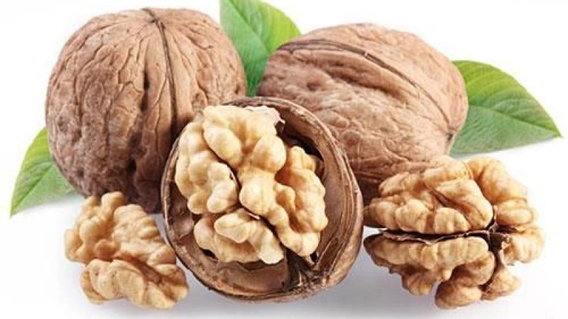 Ceviz ağacının altında neden oturulmaz? 8